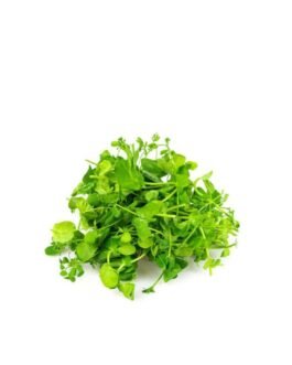 PEA SHOOTS