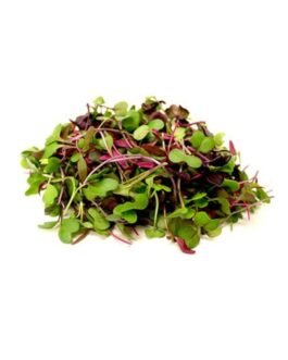 Assorted Microgreens